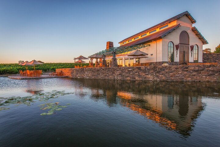 Bianchi's lovely tasting room, Koi Pond, and vineyard!